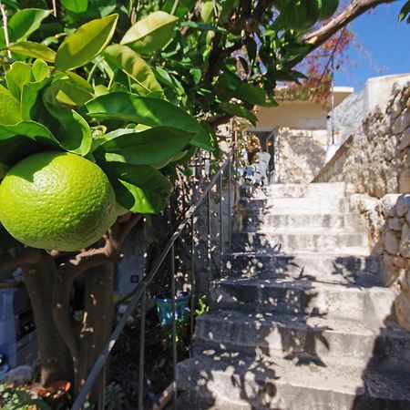 Villa Igrane Esterno foto