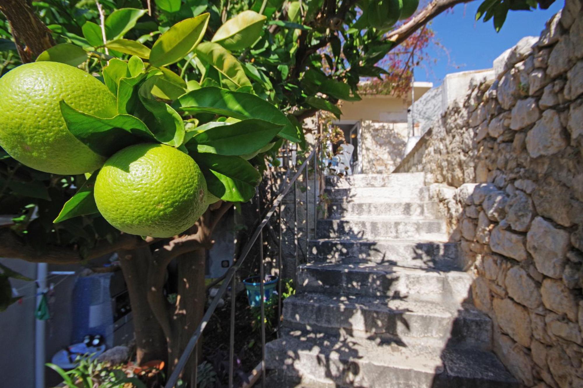 Villa Igrane Esterno foto